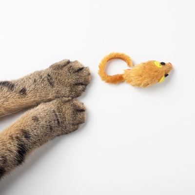 Image Slider